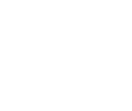 229Incorp